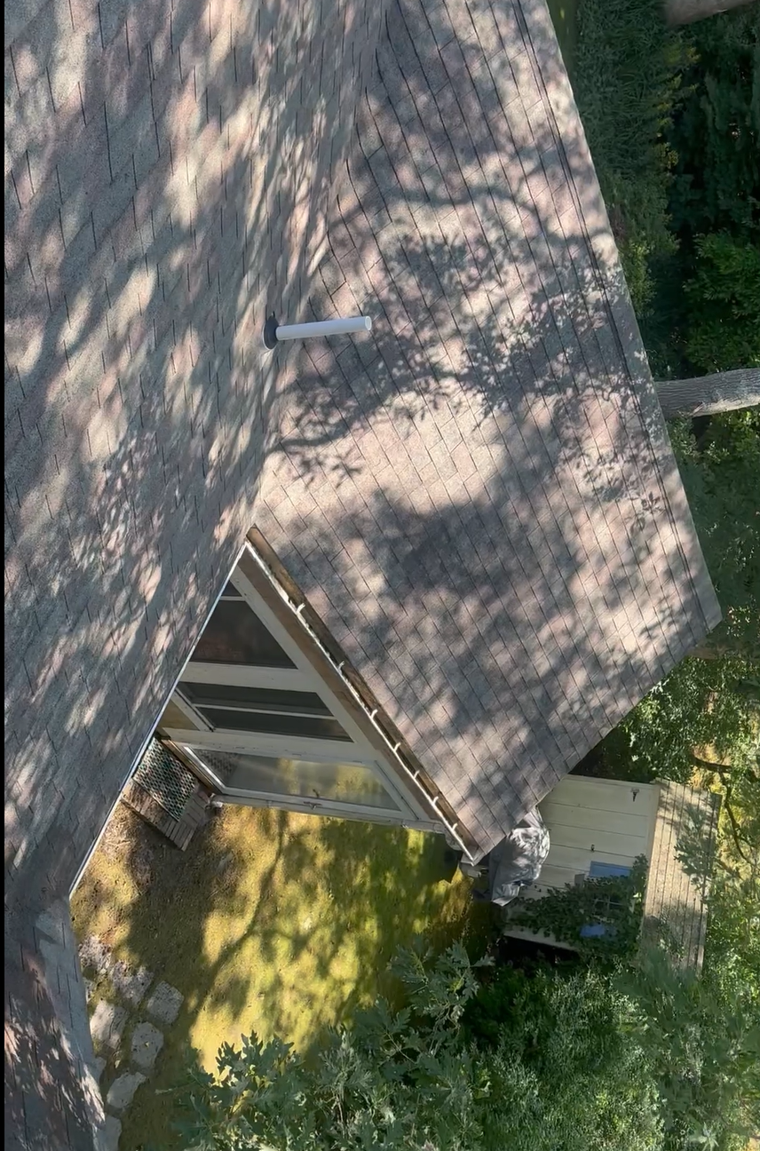 Before: Soft-Wash Moss/Garden off Roof