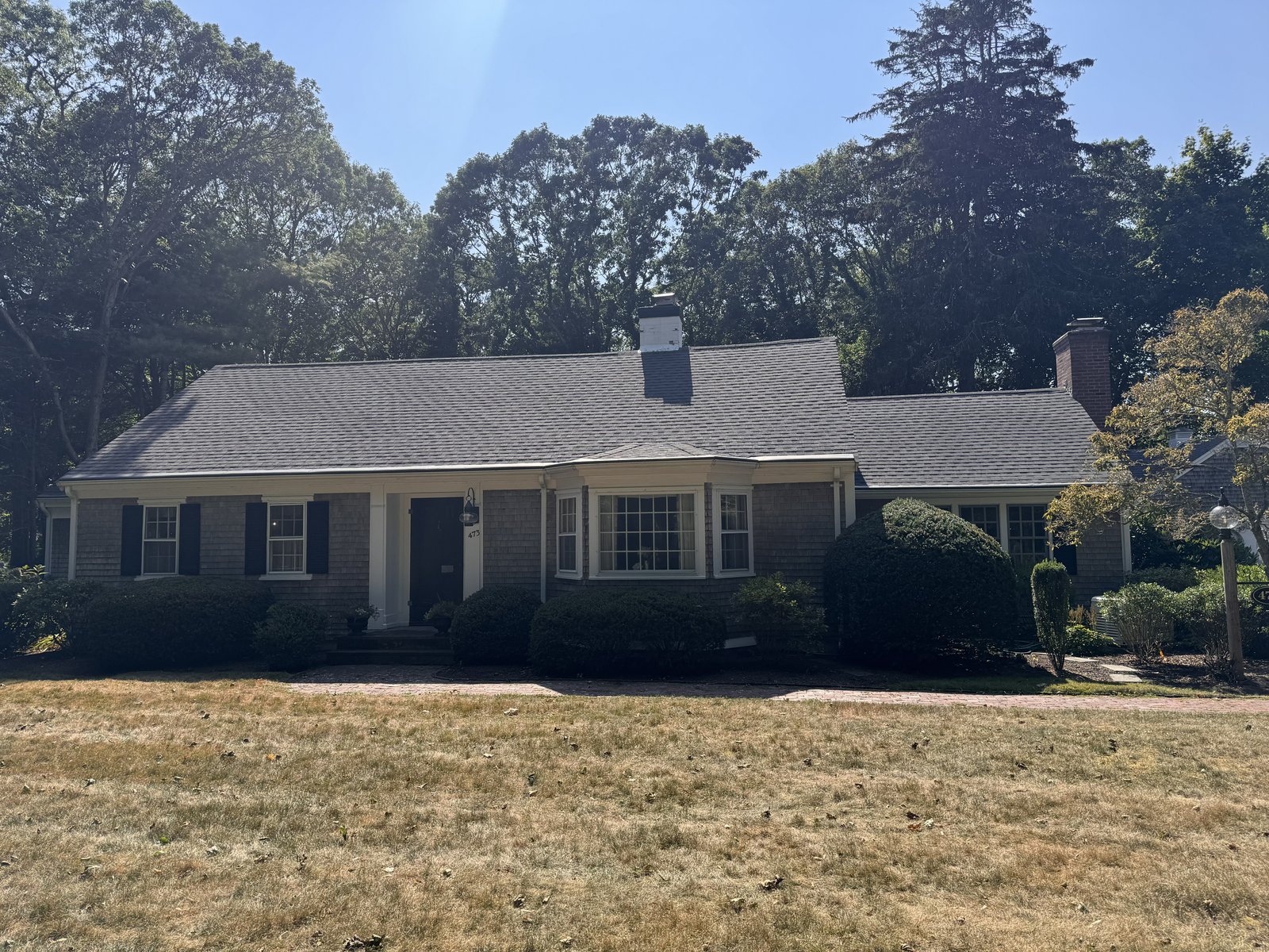 Roof Moss Removal