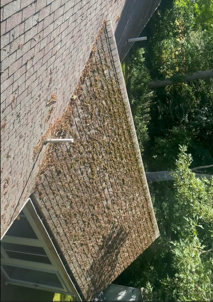 After: Soft-Wash Moss/Garden off Roof